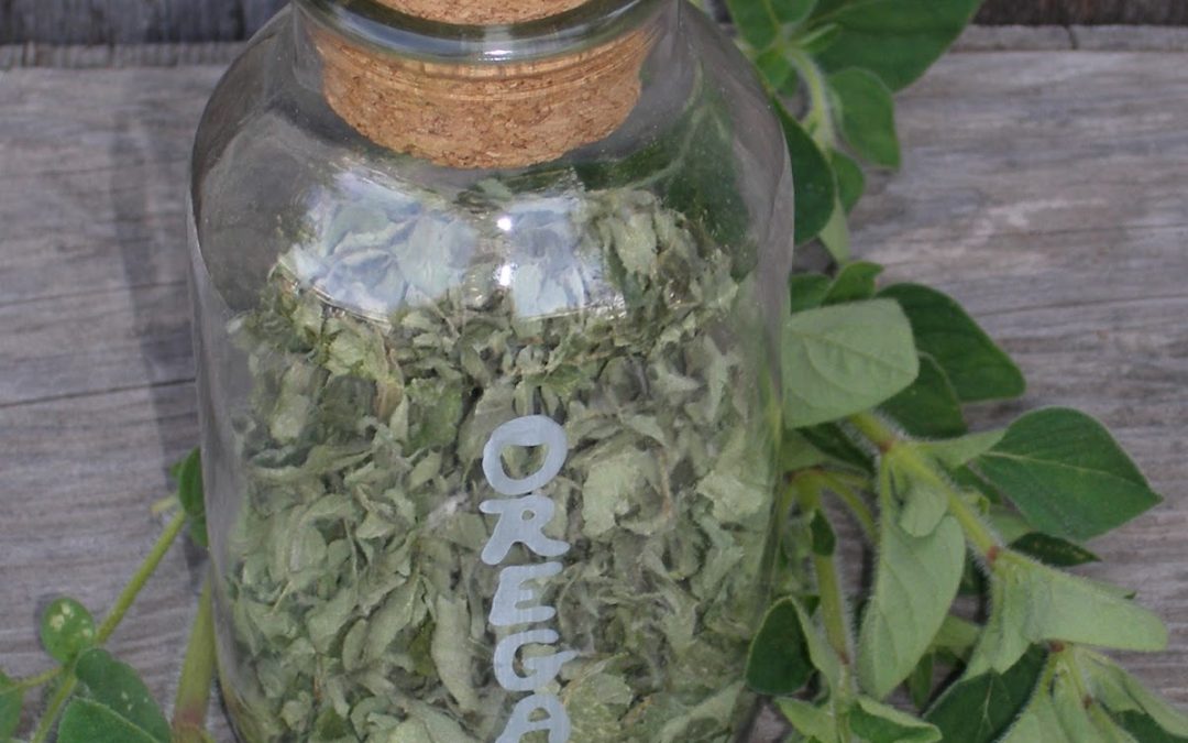 Etched Herb Jar