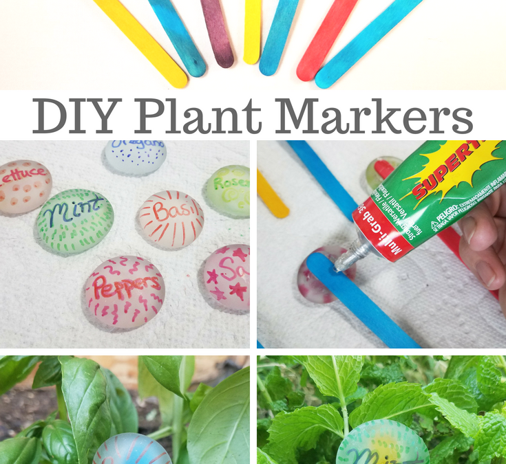 DIY Garden Markers from Dollar Tree Items